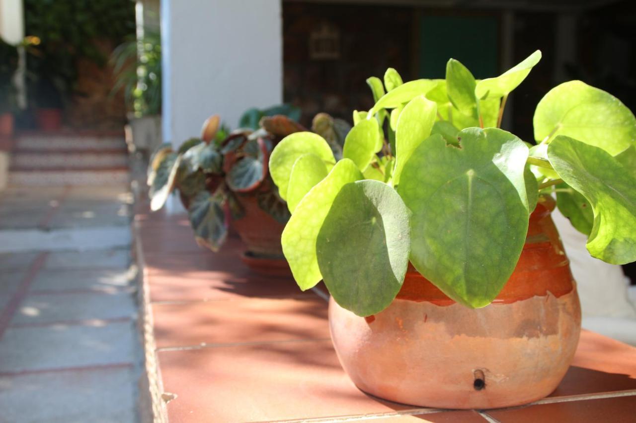 Willa El Jardin De La Abuela Grenada Zewnętrze zdjęcie